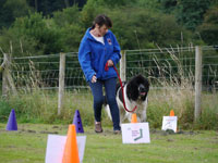 Eddi in another Rally exercisen