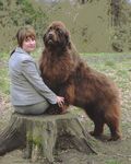 Eva with Kirsteen on a tree stump