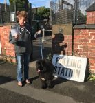 Hendrix as a puppy outside a polling station
