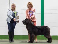 Mazzy as Best Puppy In Show