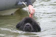 Retrieving a rope