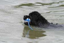 Retrieving a rope