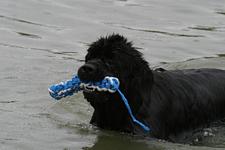 Retrieving a rope