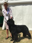 Shelby wins the Working Group Puppy at Leeds Championship show 2018