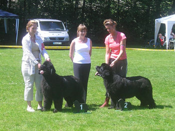 Kirsteen judging in Germany